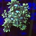 E5EC54D9-CD6B-4D3B-842F-74BD3670D89C.jpg