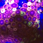 962A6281-145B-4115-81D9-5229AC0A94C9.jpg