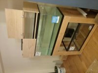 20190416_221433[2869].jpg