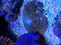 20190213_162946.jpg