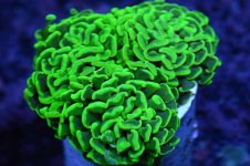 DSC_1067.JPG