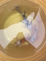 IMG_0446.jpg