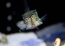 IMG_4681.jpg