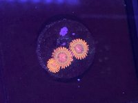 IMG_5510.jpg