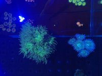 IMG_5495.jpg