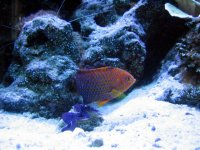 IMG_0028.JPG