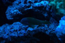 DSC_0007.jpg