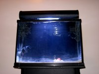 Tank Frontal.jpg