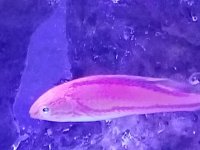 20181016_174607.jpg