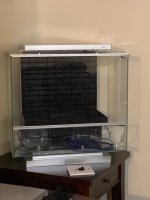 IMG_55971.jpg