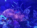 20181021_140623.jpg