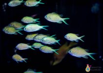 IMG_4808.jpg
