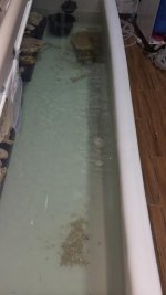 20190311_203533.jpg