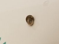 20190319_001502.jpg