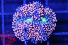 e35fd837-3663-4751-93d4-afcc26f460d5.jpg