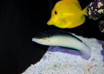 IMG_5043.jpg