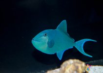 IMG_5051.jpg