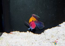 IMG_5058.jpg