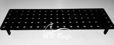 MR Reefs Large Frag Rack.JPG