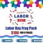Labor Day Pack.jpg