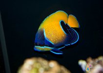 _MG_3804.jpg