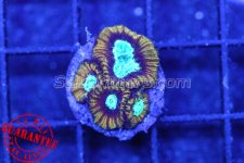 108a9daa-a6ec-4864-88bb-6945e30d20c5.jpg