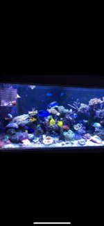 3A6FFA7D-E783-454E-87CC-EEA4F0E43F98.jpg