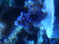 20190626_194448.jpg