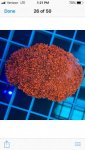 D3ED286E-DC1C-4278-9833-CECE74C9E738.jpg