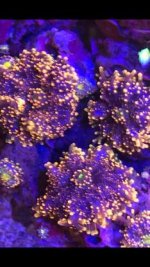 AB371E2D-EDA7-4276-9E96-8B276027B9B2.jpg