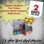 Last 2 day Raffle.jpg
