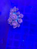 5736B432-581D-4683-9FFE-620EC93D7BA8.jpeg