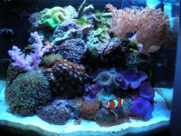 DSCN0785.JPG
