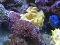 DSCN3168.jpg