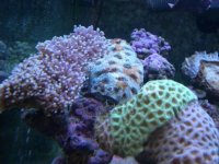 DSCN3170.jpg
