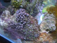DSCN3173.jpg