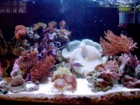 DSC04084.jpg