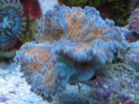 IMG_4325.jpg