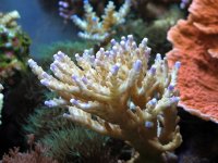 IMG_4565.jpg