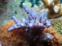 IMG_4567.jpg