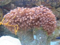 IMG_0409.jpg