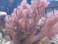 IMG_0411.jpg