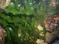 100_2190.jpg