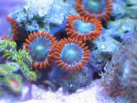 IMG_3870.jpg