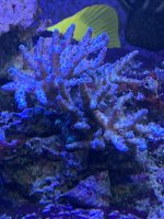 IMG_4435.jpeg