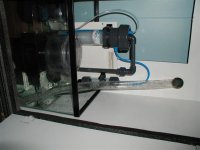 p9270537 (small).jpg