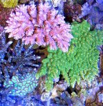 topview300903.jpg