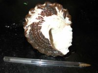 dscn3124.jpg