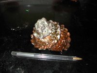 dscn3123.jpg