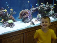 display tank pictures 019.jpg